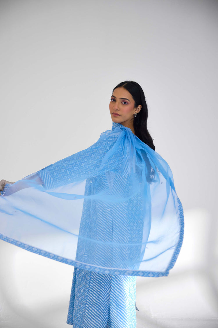 Meera Dupatta Light Blue (9926171427115)