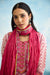 Rozana Dupatta Pink (9925514625323)