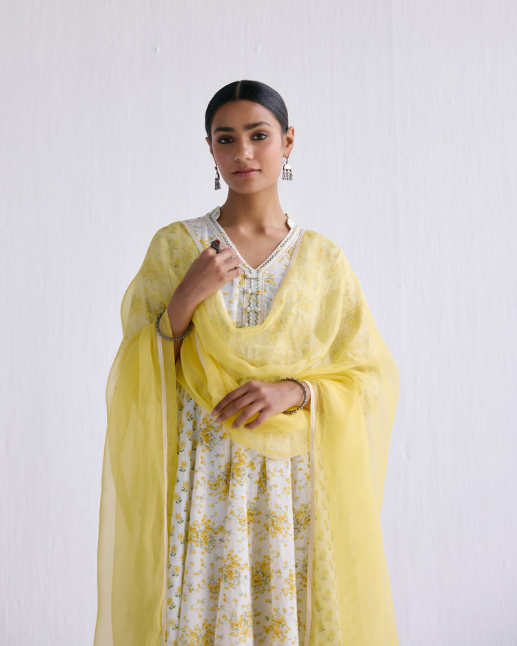 Mehtab Dupatta Lime Yellow (9097279078699)