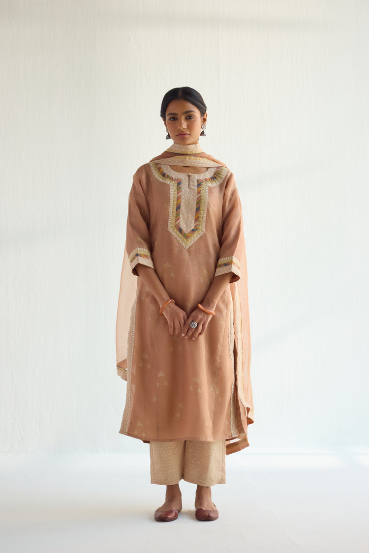 Rozana Kurta Brown Beige (9452887900459)