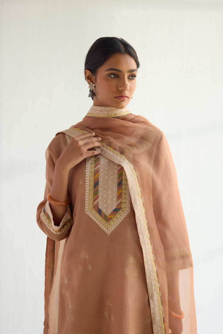 Medh Dupatta Brown (9453473923371)