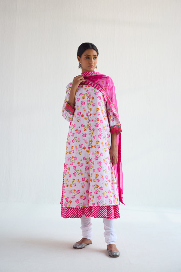 Medh Dupatta Pink (9423095824683)