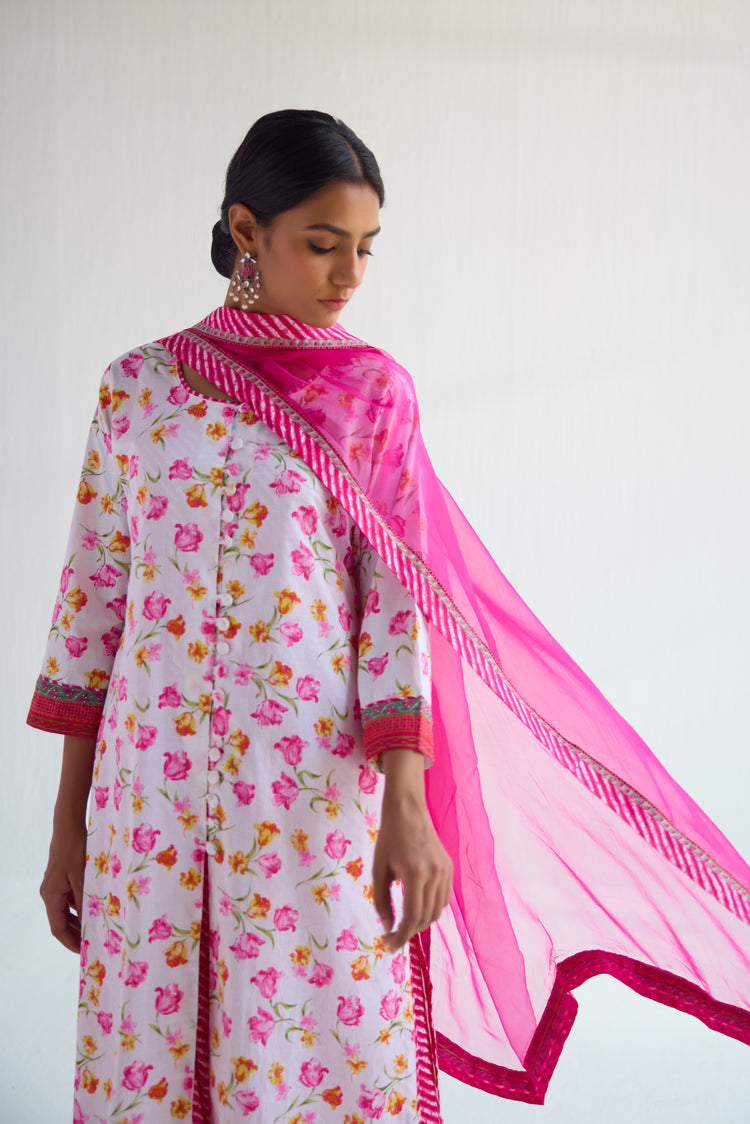 Medh Dupatta Pink (9423095824683)