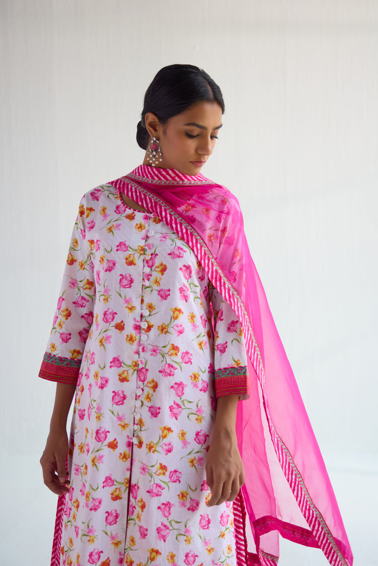 Medh Dupatta Pink (9423095824683)