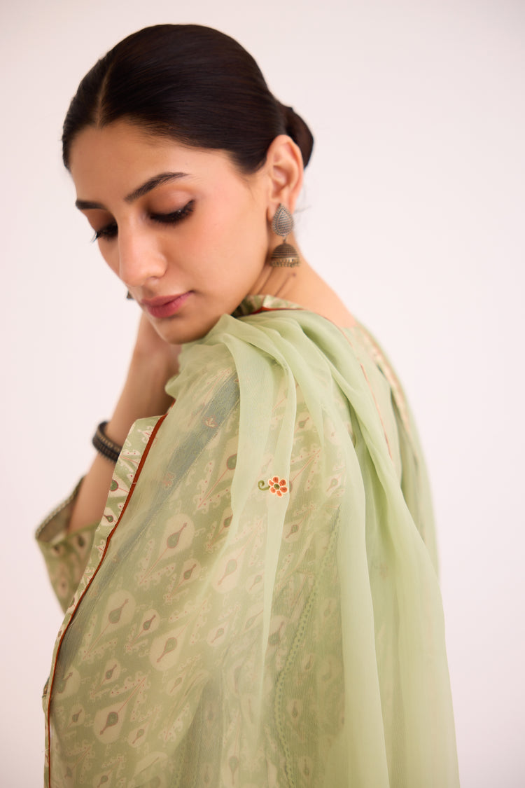 Aruni Dupatta Sage Green (9602692809003)