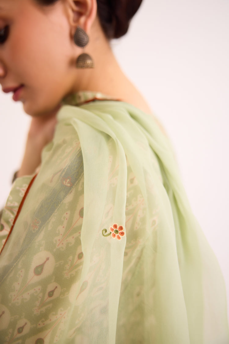 Aruni Dupatta Sage Green (9602692809003)