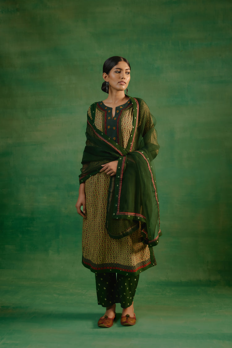 Medh Dupatta Green (9818782302507)