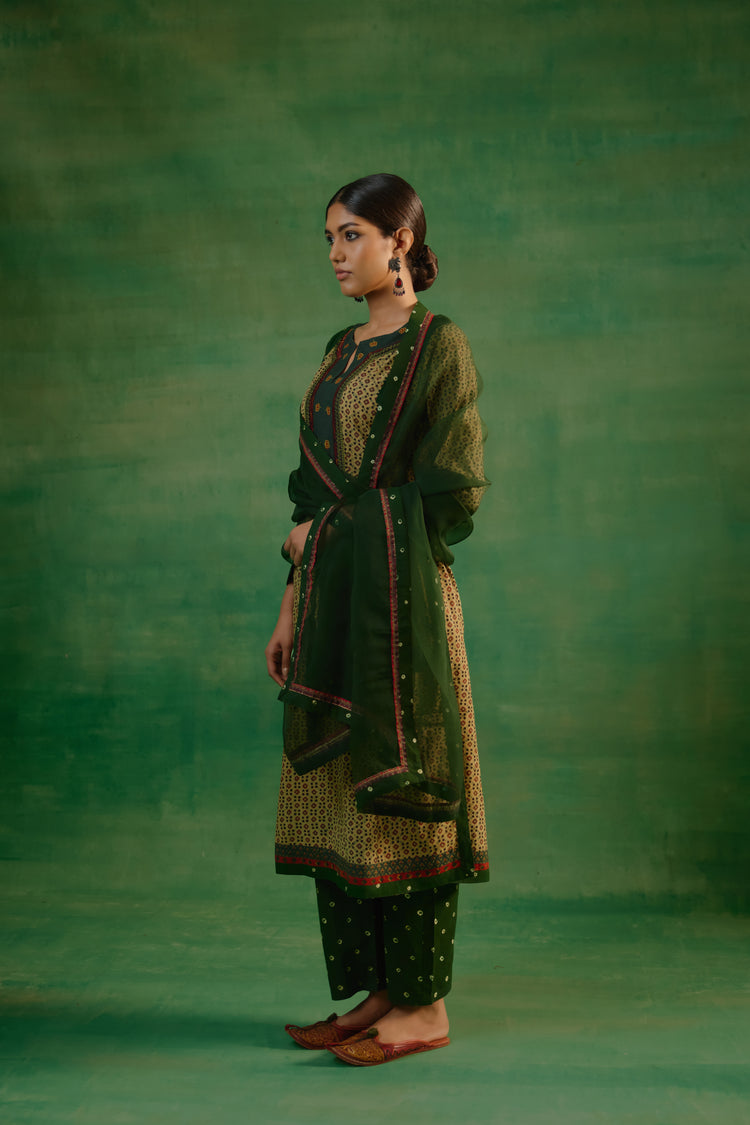 Medh Dupatta Green (9818782302507)