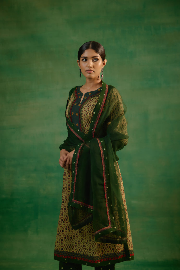 Medh Dupatta Green (9818782302507)