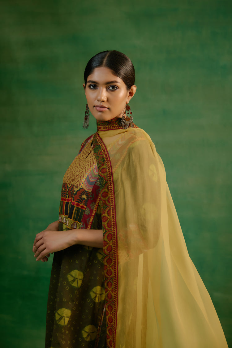 Medh Dupatta Ochre (9819940749611)