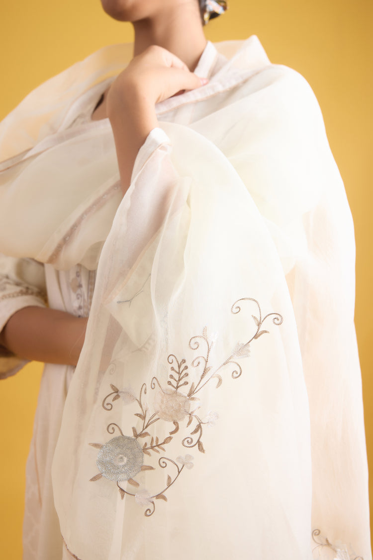 Bagh Dupatta Cream (9725672915243)