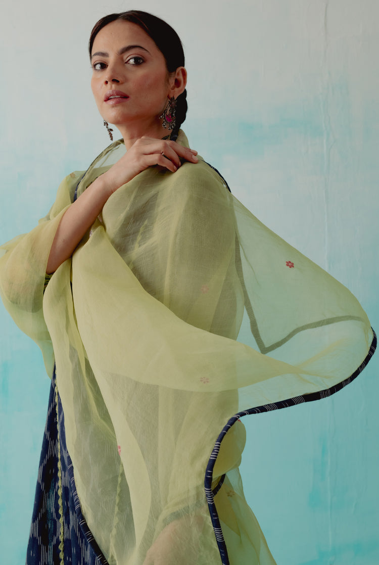 Daisy Dupatta Pistachio Green (8345823478059)